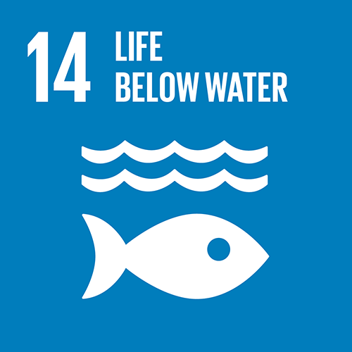 14. Conserve and sustainably use the oceans, seas and marine resources